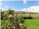 5491 South Gippsland Hwy, Agnes VIC 3962