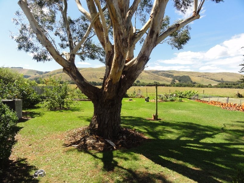 5491 South Gippsland Hwy, Agnes VIC 3962