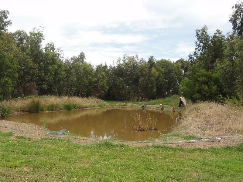 6540 South Gippsland Hwy, Hedley VIC 3967