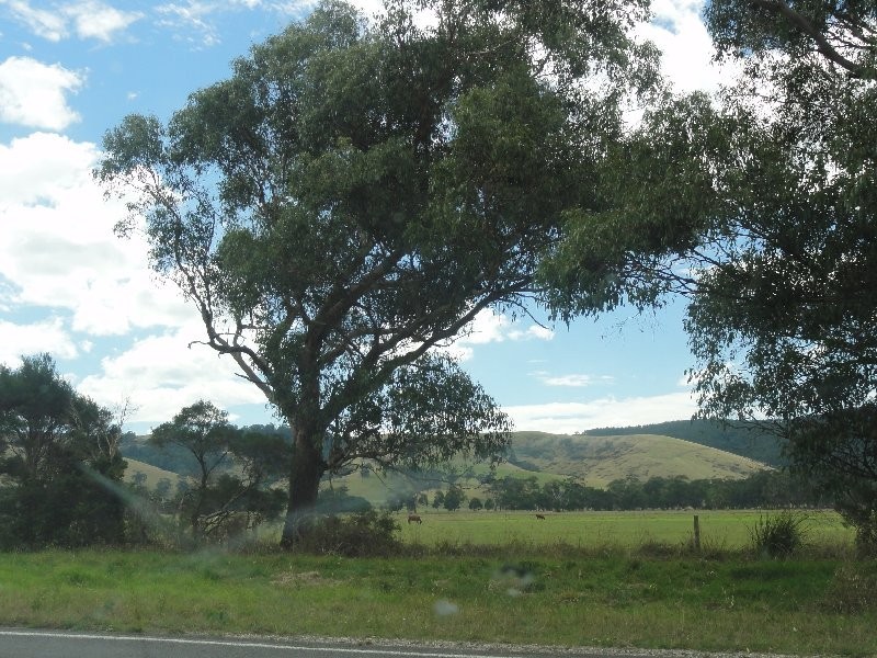 6540 South Gippsland Hwy, Hedley VIC 3967