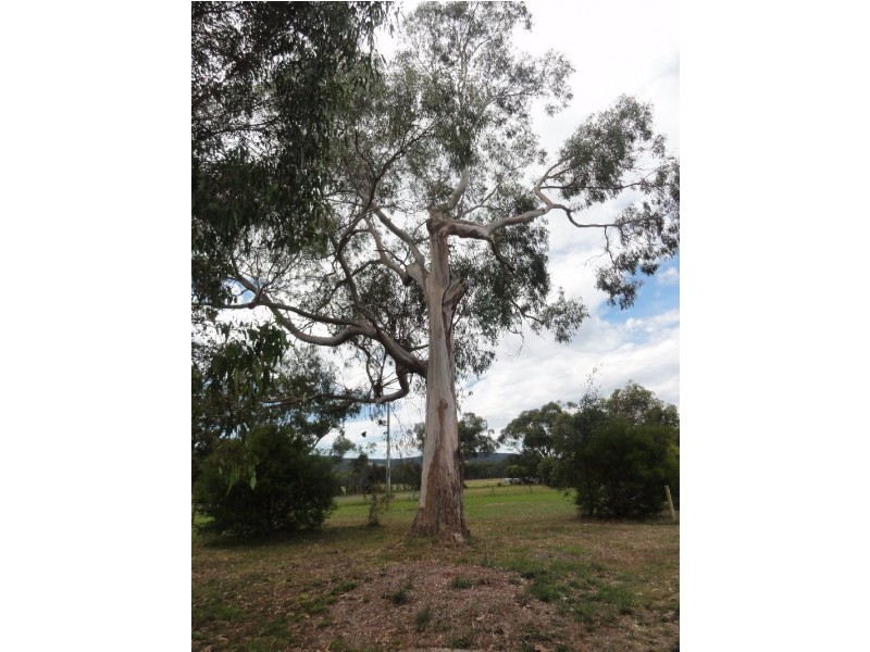 6540 South Gippsland Hwy, Welshpool VIC 3966