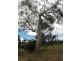 6540 South Gippsland Hwy, Hedley VIC 3967