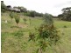 Lot 1 Farrell Lane, Fish Creek VIC 3959
