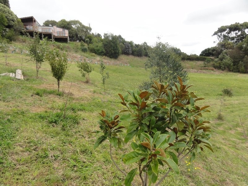 Lot 1 Farrell Lane, Fish Creek VIC 3959