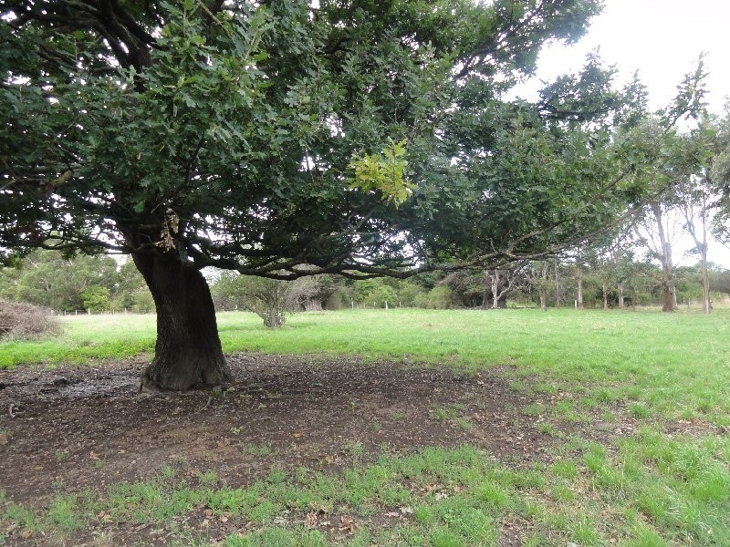 6141 South Gippsland Hwy, Welshpool VIC 3966