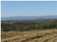 1016 Moe Willow Grove Road, Willow Grove VIC 3825