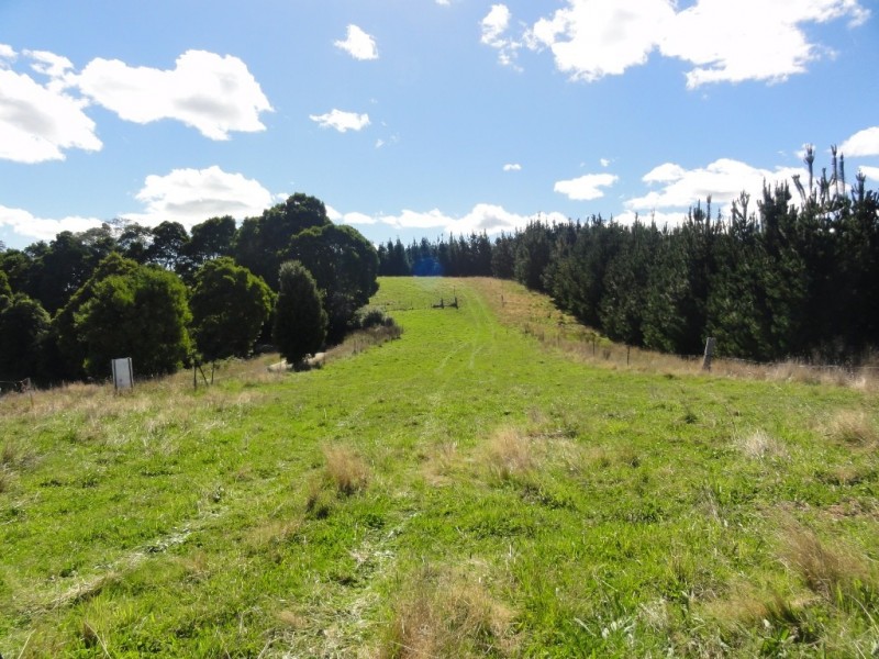 1590 Turtons Creek Rd, Foster VIC 3960