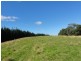 1590 Turtons Creek Rd, Foster VIC 3960