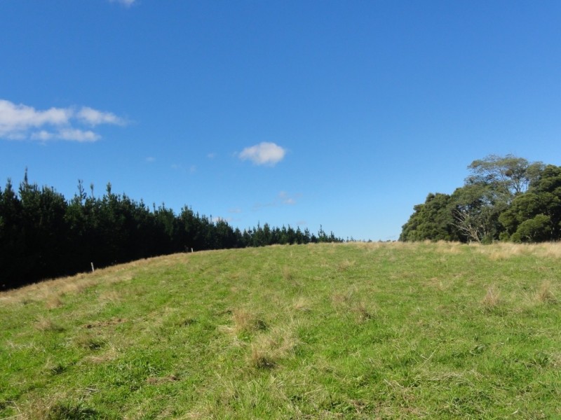 1590 Turtons Creek Rd, Foster VIC 3960