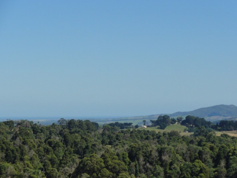 1590 Turtons Creek Rd, Foster VIC 3960