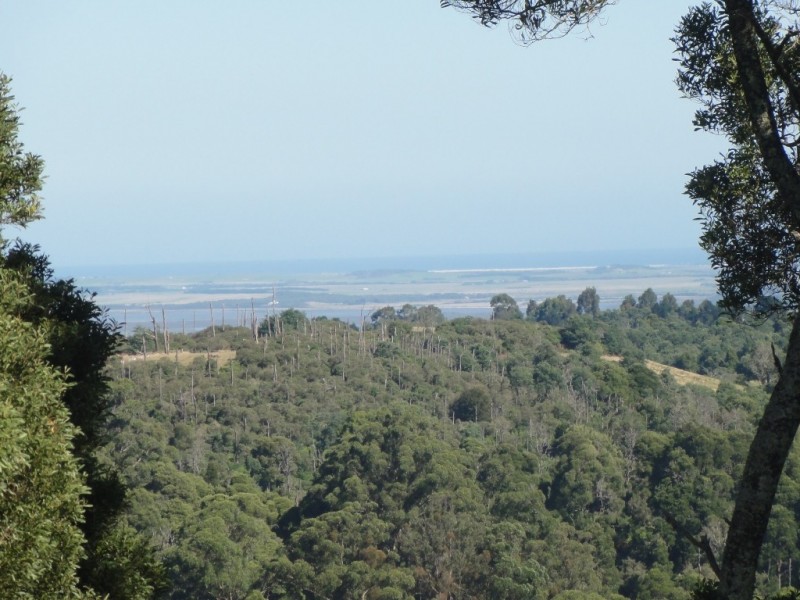 1590 Turtons Creek Rd, Foster VIC 3960