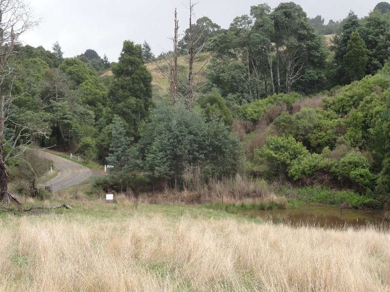 1590 Turtons Creek Rd, Foster VIC 3960
