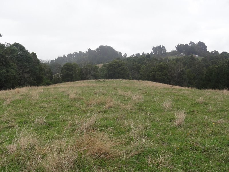 1590 Turtons Creek Rd, Foster VIC 3960