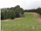 1590 Turtons Creek Rd, Foster VIC 3960