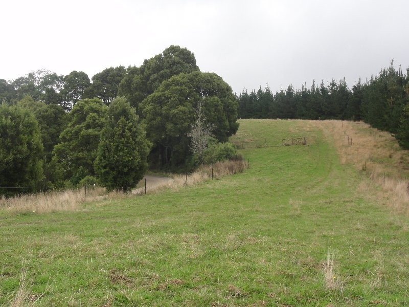 1590 Turtons Creek Rd, Foster VIC 3960