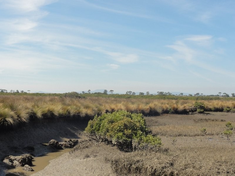 395 Fullers Rd, Foster VIC 3960