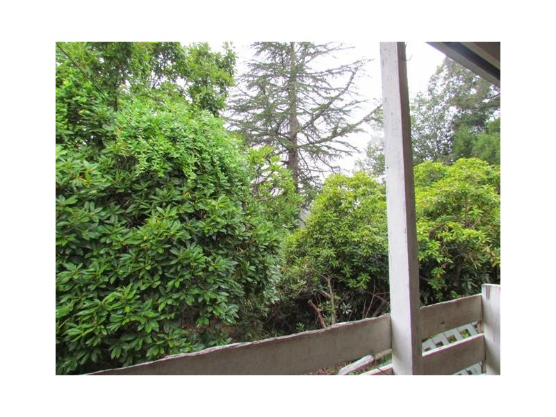 610 Mt Baw Baw Road, Noojee VIC 3833