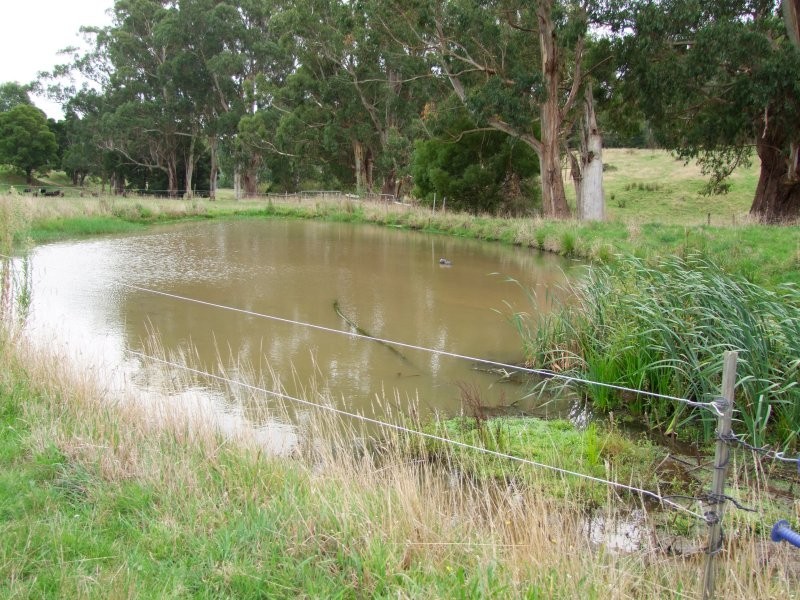 22 McCartins Lane, Mirboo North VIC 3871