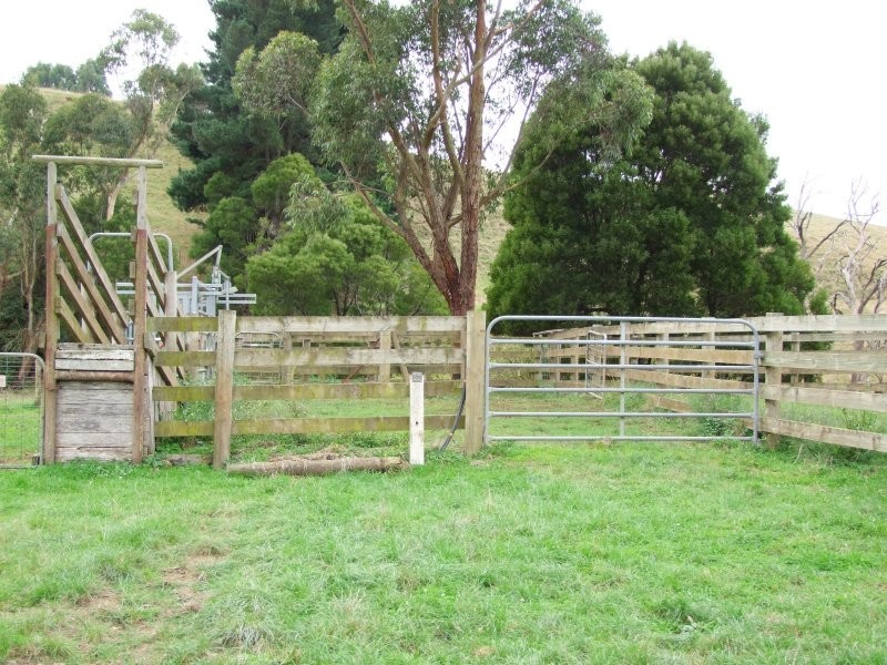 22 McCartins Lane, Mirboo North VIC 3871