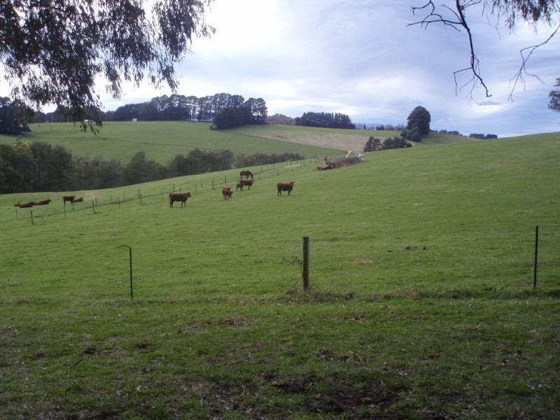 120 Vesper Road, Vesper VIC 3833