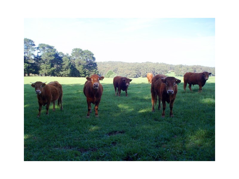 120 Vesper Road, Vesper VIC 3833