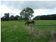 Stony Creek VIC 3957