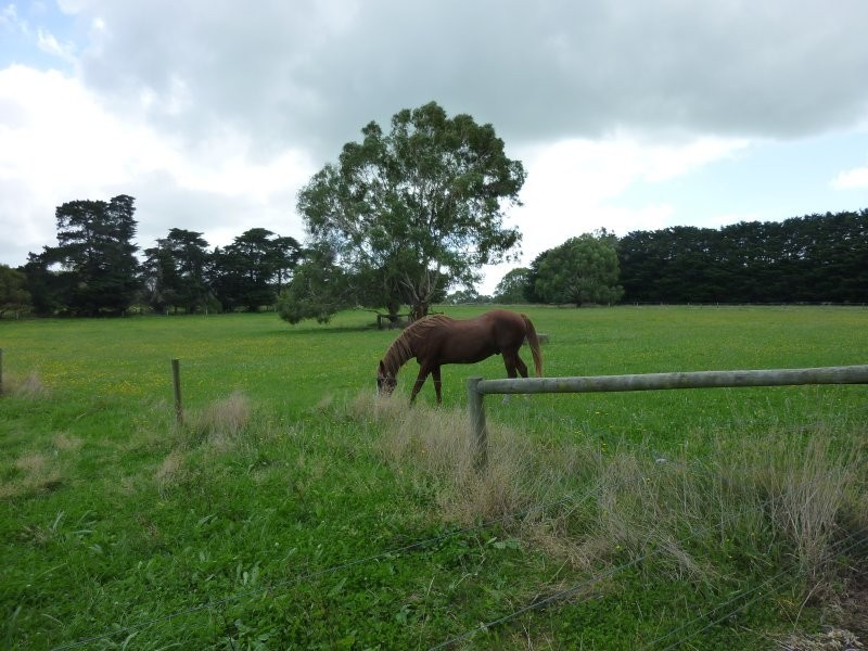 Stony Creek VIC 3957