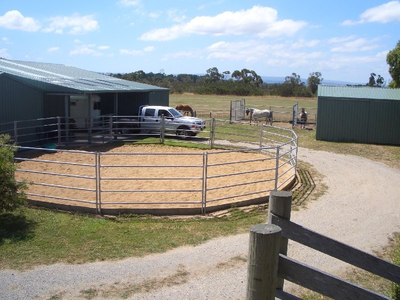 98 Lanes Rd, Hedley VIC 3967