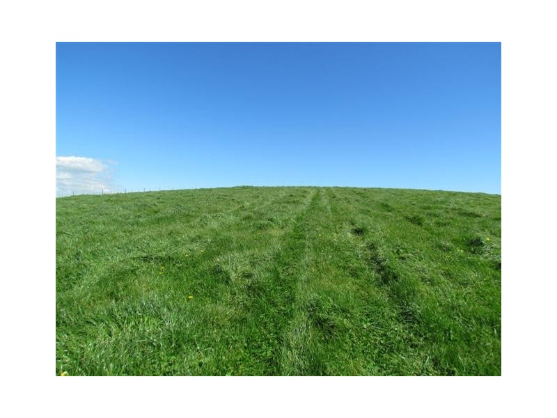 821 (5 Titles) Mountain View Road, Mountain View VIC 3988