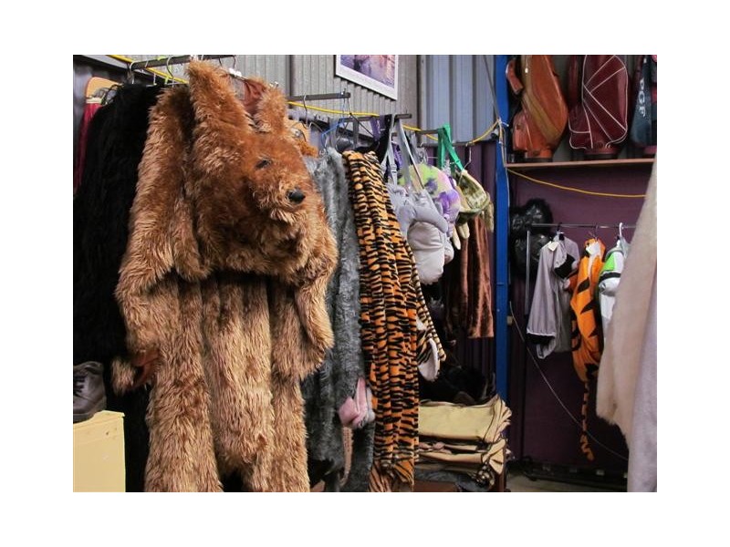 13 Latrobe Street, Warragul VIC 3820