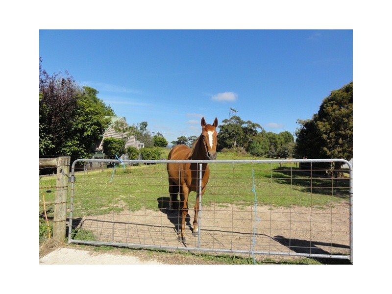 25 Mill St, Toora VIC 3962