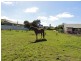 25 Mill St, Toora VIC 3962