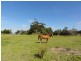 25 Mill St, Toora VIC 3962