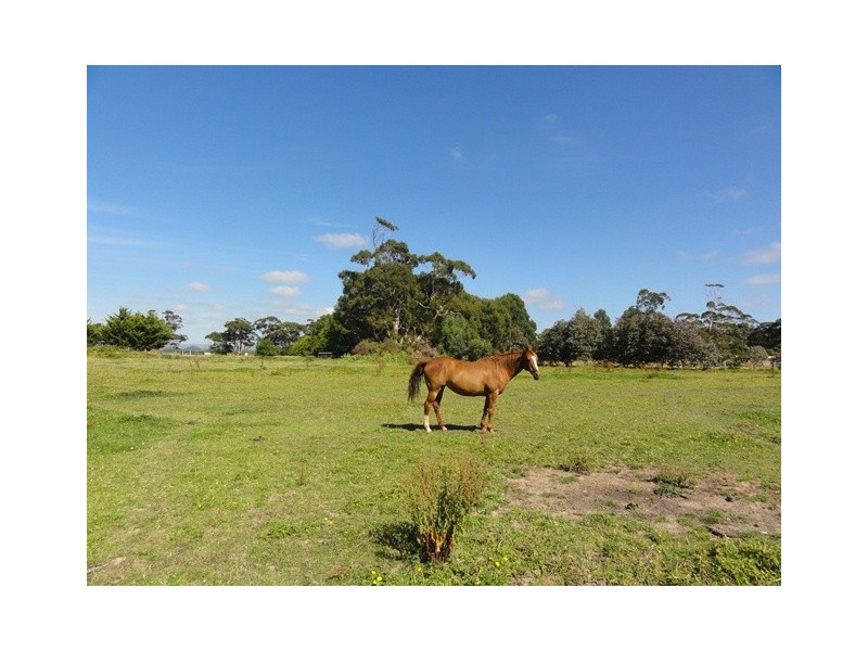 25 Mill St, Toora VIC 3962