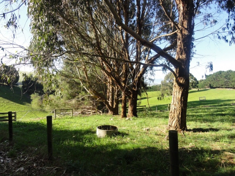 368 Ameys Track, Foster VIC 3960