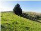 368 Ameys Track, Foster VIC 3960