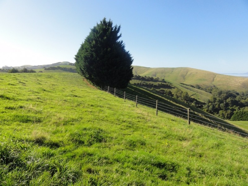 368 Ameys Track, Foster VIC 3960