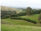 368 Ameys Track, Foster VIC 3960