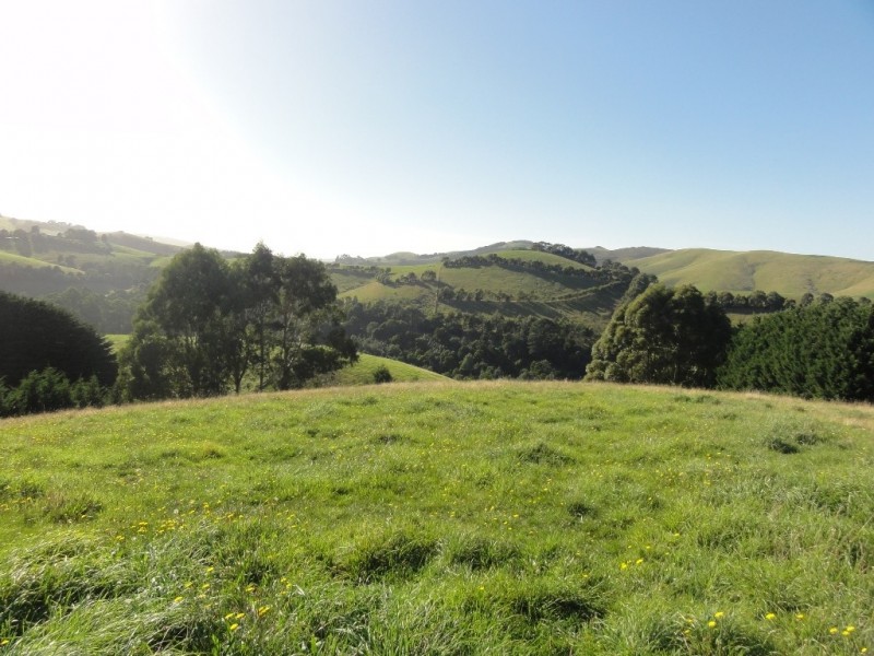 368 Ameys Track, Foster VIC 3960