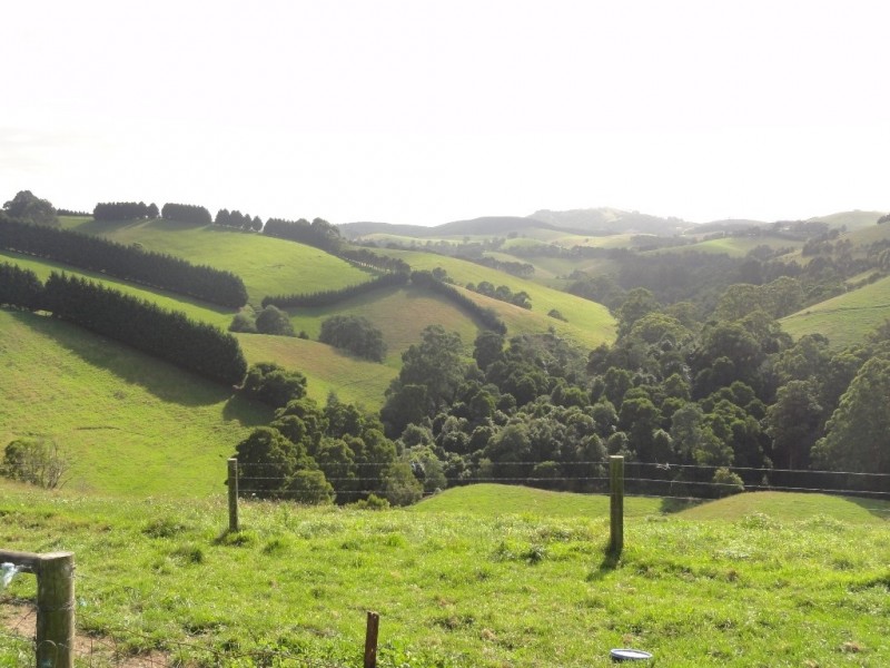 368 Ameys Track, Foster VIC 3960