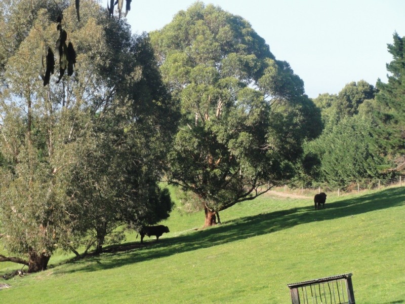 368 Ameys Track, Foster VIC 3960