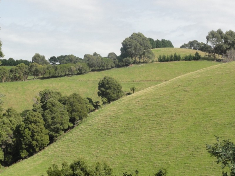 368 Ameys Track, Foster VIC 3960