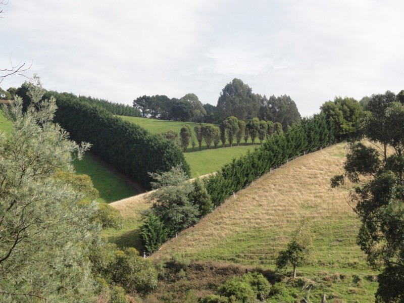 368 Ameys Track, Foster VIC 3960