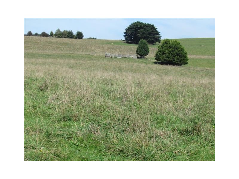 206 Cazaly’s Road, Brandy Creek VIC 3821