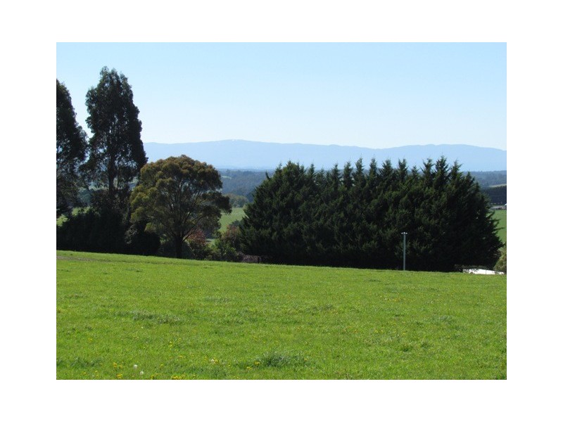 206 Cazaly’s Road, Brandy Creek VIC 3821