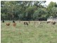 315 Gardner and Holman, Drouin VIC 3818