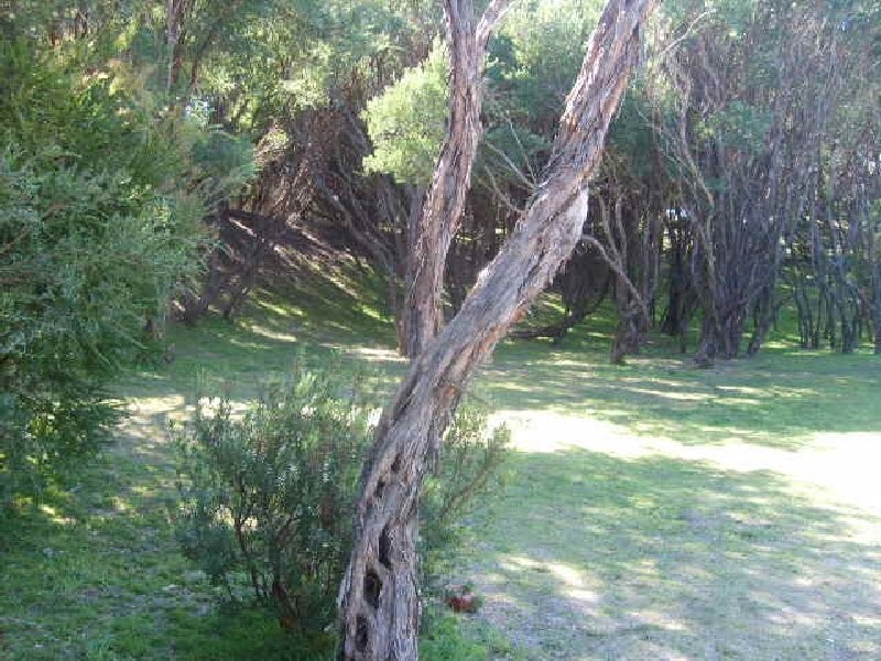 69 The Boulevard, Sandy Point VIC 3959