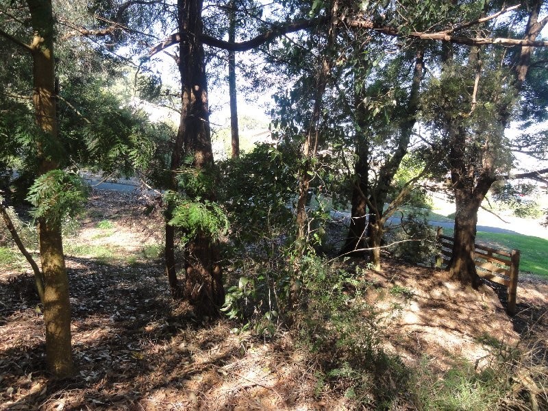 23 Landy Rd, Foster VIC 3960