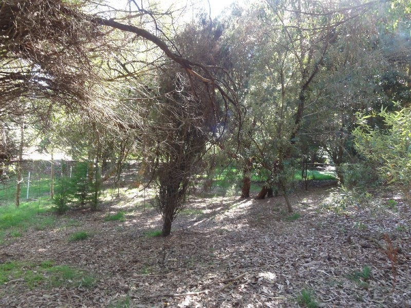 23 Landy Rd, Foster VIC 3960