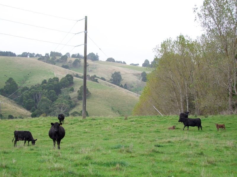 Mirboo North VIC 3871